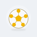 [CO-002] Ballon de football de match